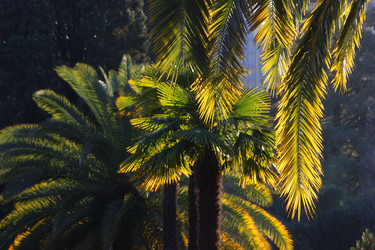 Similar image 22015932