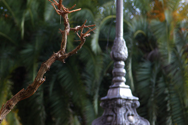 Similar image 22015934