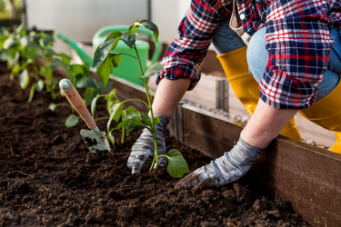 Similar image 22018804