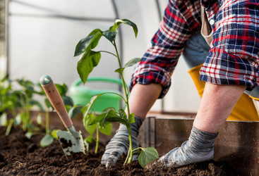 Similar image 22018806