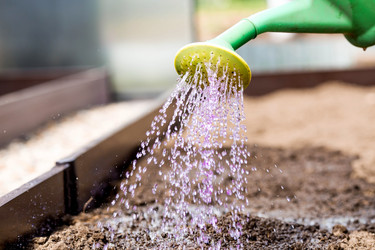 Similar image 22018807