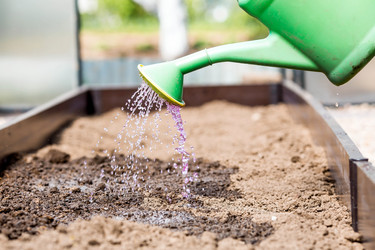 Similar image 22018809