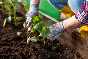 Similar image 22018816