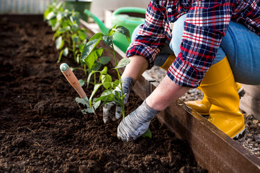 Similar image 22018818