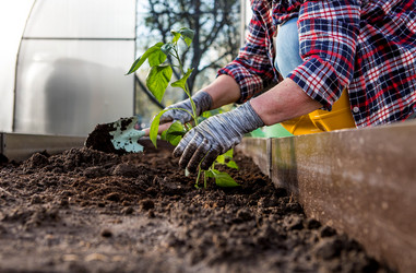 Similar image 22018820