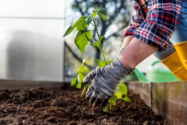 Similar image 22018822