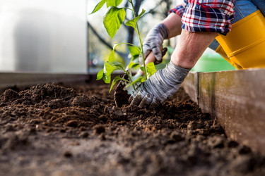 Similar image 22018824