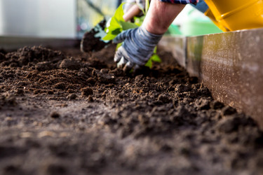 Similar image 22018826