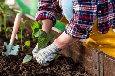 Similar image 22018828