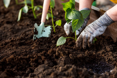 Similar image 22018830