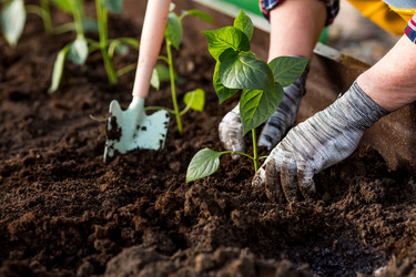 Similar image 22018832