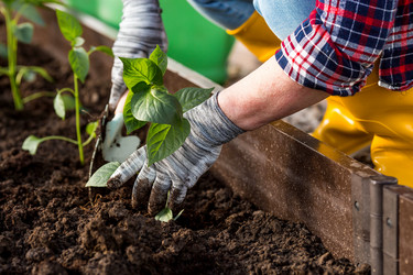 Similar image 22018834