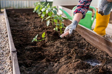 Similar image 22018836