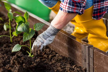 Similar image 22018838