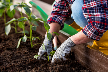 Similar image 22018842