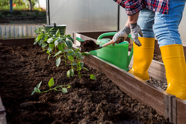 Similar image 22018844