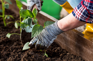 Similar image 22018846