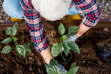 Similar image 22018852