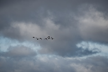 Similar image 22018338