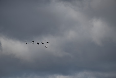 Similar image 22018339