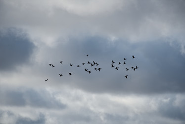 Similar image 22018340