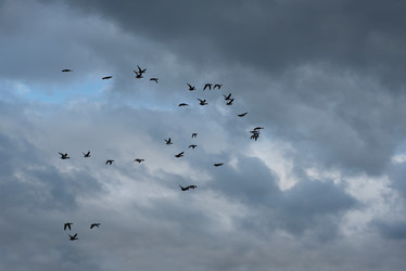 Similar image 22018342