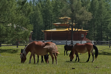 Similar image 22018345