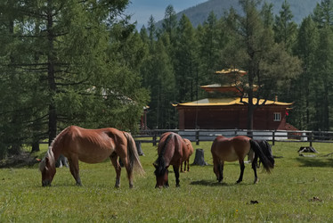 Similar image 22018346