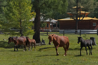 Similar image 22018348