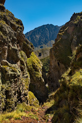 Similar image 22018349