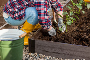 Similar image 22018860