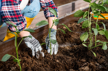 Similar image 22018866