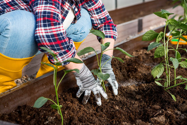 Similar image 22018868