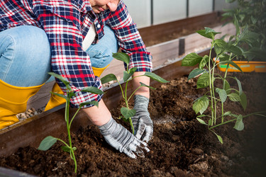 Similar image 22018870