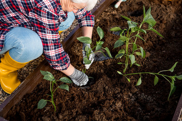 Similar image 22018872