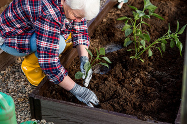 Similar image 22018874