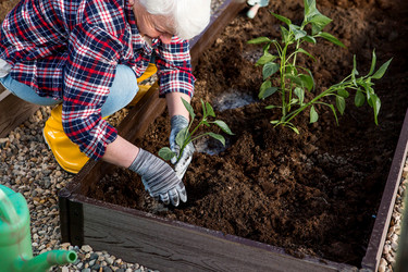 Similar image 22018878