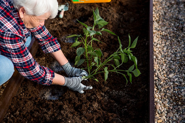 Similar image 22018880