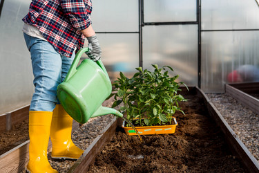 Similar image 22018886