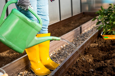 Similar image 22018893