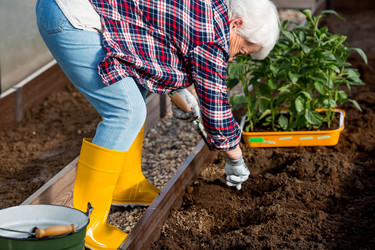 Similar image 22018897