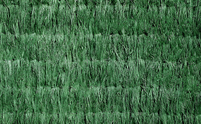 Similar image 22018356