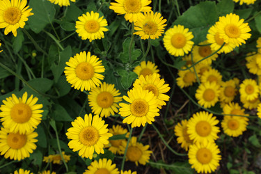 Similar image 22018439