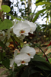 Similar image 22018440