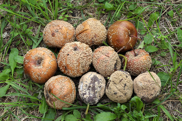 Similar image 22018441