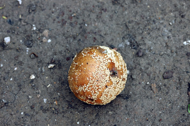 Similar image 22018443