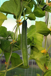 Similar image 22018445