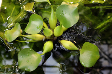 Similar image 22018447