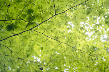 Similar image 22018461