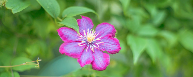 Similar image 22018463